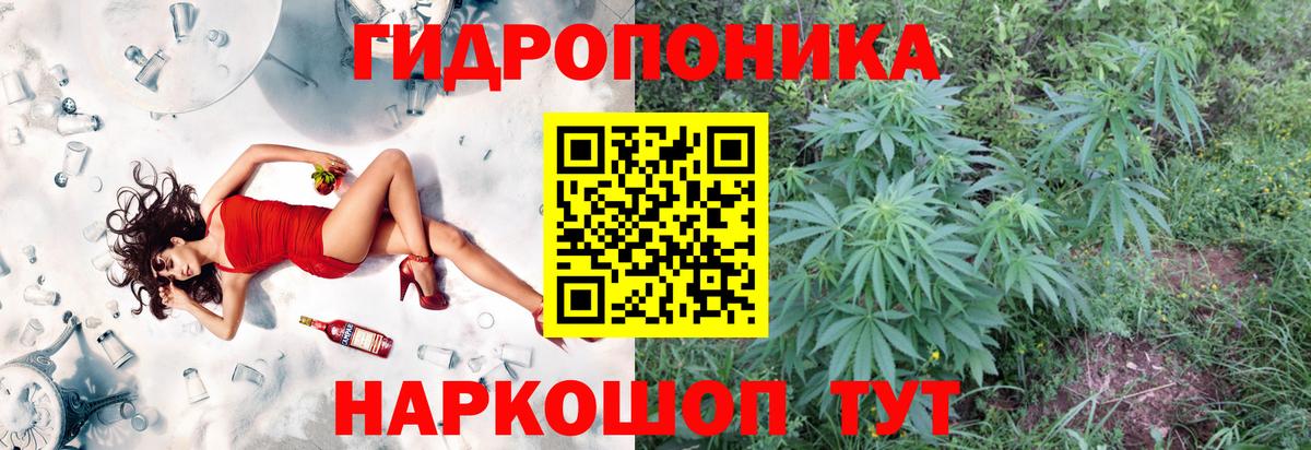 Каннабис Ganja  Канабис семена  МАРИХУАНА SATIVA & INDICA  Вход с VPN  Фрязино  Марихуана Bruce Banner 